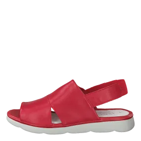 483-3548 Red